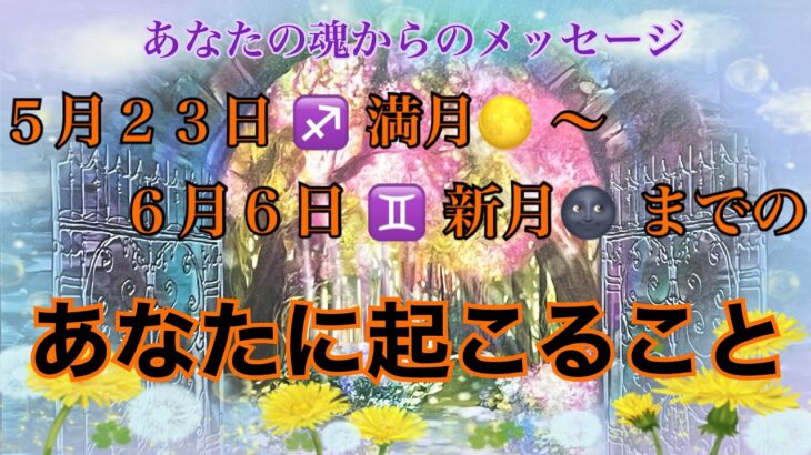 《🌕満月から🌑新月までの運勢》【数秘術占い師のカードリーディング】