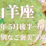 【やぎ座】2024年5月後半運勢　やった！楽しい！嬉しい！特別なご褒美の時間が訪れます💌手放すもの、心が軽くなる、希望の光は決して消えません✨【山羊座 ５月後半】【タロット】