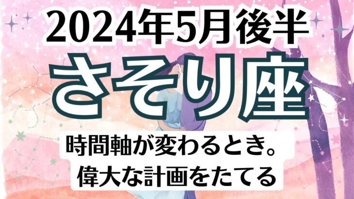 🌹蠍座♏5月後半タロットリーディング│全体運・恋愛・仕事・人間関係