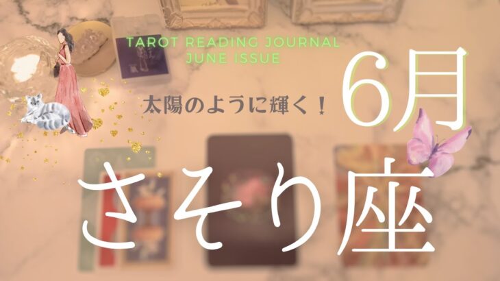 【さそり座💌2024年6月】太陽のように輝き楽しくなってくる！実力にみあった成果が得られ仲間と熱いコミュニケーションを取る月【蠍座】タロット・オラクルカードリーディング+星読み