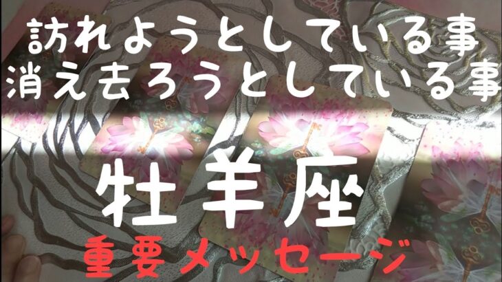 牡羊座♈️【見た時がタイミング‼️】人生に起こる重要な出来事✨✨#オラクルカード #運命好転 #運命 #カードリーディング #スピリチュアル #女神様#牡羊座#ルノルマンカード