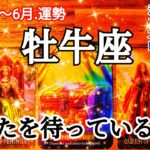 【5月後半-6月/牡牛座】魔法のランプが登場する！心からの願いを今こそ唱えて！#運勢 #占い #タロット #牡牛座 #おうし座 #5月 #6月