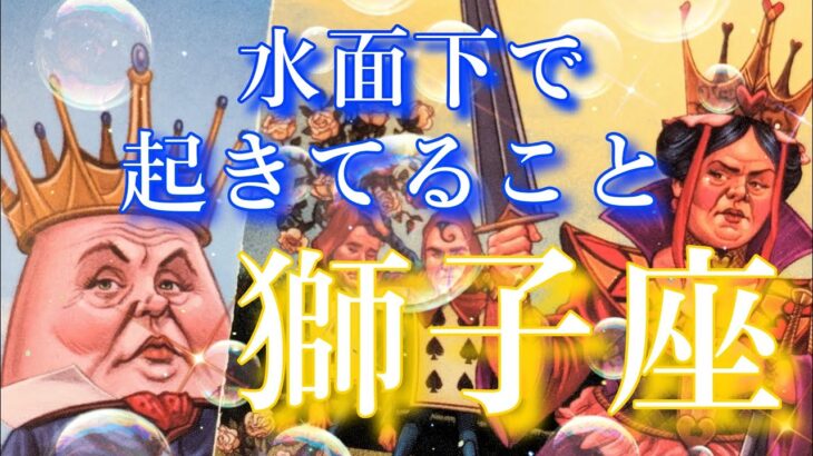 【獅子座👑】水面下で起きていること😳CHIMA✨タロット占い＆オラクルカードリーディング🔮星座別⭕