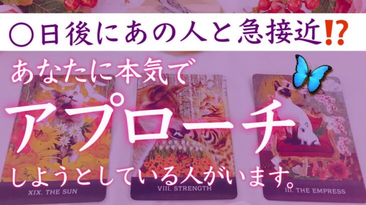 【〇日後に急接近⁉️】あなたに恋愛的なアプローチをしようとしている人❤️タロット、タロット占い、恋愛