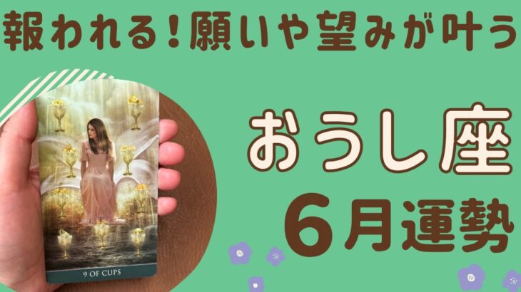 【牡牛座】2024年6月運勢♉️願ったり叶ったり‼️びっくりするほどのギフトを受け取る🎁報われていく‼️