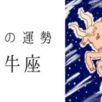 【牡牛座】6月の運勢　その願い、叶います！こんなおうし座さん見たことない🥹✨2024年タロット占い