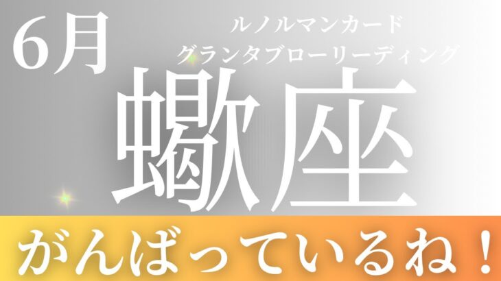 2024年6月【蠍座】起こること～がんばっているね！大丈夫！！～【恐ろしいほど当たるルノルマンカードリーディング＆アストロダイス】