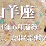 【やぎ座】2024年6月運勢　今回のカード展開は鳥肌級でした…心躍る至福の時間が訪れます💌手放し、大事な決断を下す、チャンスを味方につけるとき🌈✨【山羊座 ６月運勢】【タロット占い】