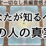 【見た時がタイミング🔔】あなたが知るべき真実❤️ツインレイ/ソウルメイト/運命の相手/複雑恋愛/曖昧な関係/復縁/片思い/音信不通/ブロック/未既読スルー/好き避け/恋愛/結婚/占い/リーディング霊視