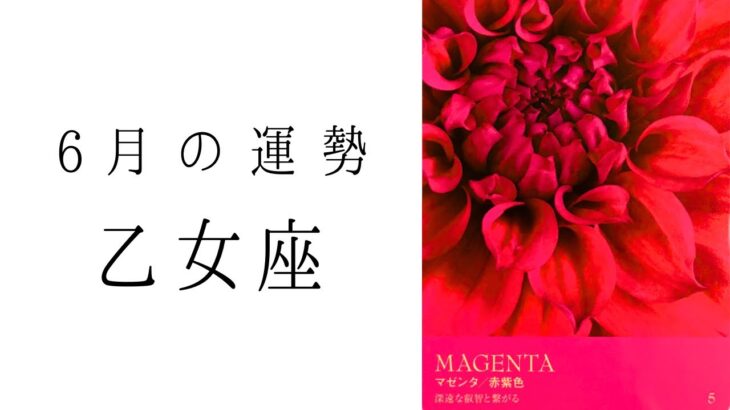 【乙女座】6月の運勢　とんでもない可能性をあなたは秘めてる！2024年タロット占い