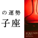 【双子座💐7月の運勢】後半からガラッと変わる！ふたご座の進化が止まらない🥹✨2024年タロット占い