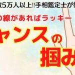 《徹底解説》チャンスの掴み方がわかる！？一本の手相に隠れた開運の鍵とは！？【手相鑑定】～質問返し～