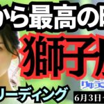 【獅子座】♌️2024年6月3日の週♌️心から最高の時🌈喜びにあふれ😊大人気になる私‼️タロットリーディング🍀