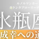 2024年6月【水瓶座】起こること～成幸への道～【恐ろしいほど当たるルノルマンカードリーディング＆アストロダイス】