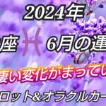 2024年６月《魚座♓️》✨物凄い進化&変化が待っている✨