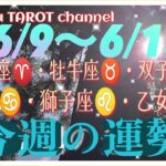 中盤戦❣【6/9〜6/15週間リーディング】牡羊座♈️牡牛座♉️双子座♊️蟹座♋️獅子座♌️乙女座♍️#2024 #タロット占い #星座別