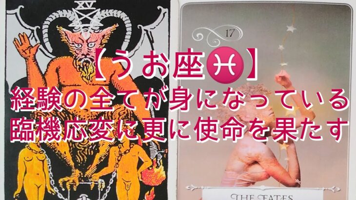 【うお座♓】経験の全てが身になっている　臨機応変に更に使命を果たす