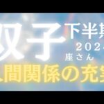 双子座さん2024年下半期運勢♊️人間関係の充実✨問題の解決🌸大逆転🎊仕事運🌈恋愛運💫金運【#占い #ふたご座 #今月の運勢】