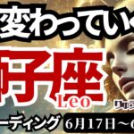 【獅子座/Leo】♌️2024年6月17日の週♌️大変容の時がきた‼️心に嘘をつかず😊没頭していくことによって🌈タロットリーディング🍀