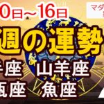 【今週の運勢6月10日から16日】射手座 山羊座 水瓶座 魚座