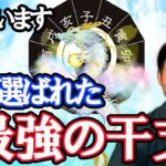 神様から選ばれた、最強の干支。十二支を風水で解説。