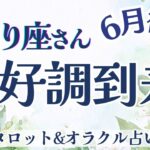 【さそり座】絶好調きた〜!!! 仕事運！対人運！恋愛運！ 運気上昇中ですっ🎉✨【仕事運/対人運/家庭運/恋愛運/全体運】6月運勢  タロット占い