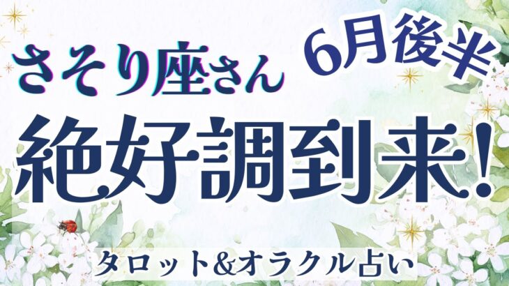 【さそり座】絶好調きた〜!!! 仕事運！対人運！恋愛運！ 運気上昇中ですっ🎉✨【仕事運/対人運/家庭運/恋愛運/全体運】6月運勢  タロット占い