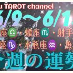 中盤戦❣【6/9〜6/15週間リーディング】天秤座♎️蠍座♏️射手座♐️山羊座♑️水瓶座♒️魚座♓️#2024 #タロット占い #星座別