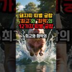 돼지띠 띠별 궁합 최고와 최악의 12가지 띠별 궁합 #풍수 #궁합 #로또