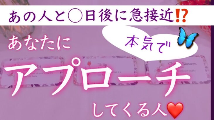 【◯日後に急接近⁉️】間もなくあなたにアプローチしてくる人❤️タロット、タロット占い、恋愛