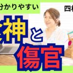 四柱推命【世界一分かりやすい】食神と傷官