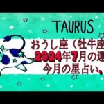 おうし座（牡牛座)・2024年7月の運勢｜今月の星占い.