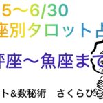 (6/15~6/30)星座別タロット占い、天秤座から魚座まで#タロット占い