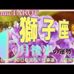 獅子座♌️さん【6月後半の運勢✨16日〜30日の流れ・仕事運・人間関係】ワガママも通用しちゃうかも🐒#2024 #タロット占い #星座別