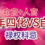 紫微斗数分享|生年四化和自化|命宫生年四化和自化的区别|Ziwei Dou Shu|#紫微斗数 #纯分享 #禄权科忌