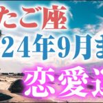 【2024年7~9月ふたご座】🍀恋愛占い☆出会い・結婚運などもLGBTの方にも💛