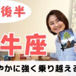 【牡牛座】どんな状況でもしなやかに乗り越えていく！｜癒しの占いで６月後半の運勢をみる