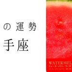 【射手座】6月の運勢　いて座ワールド全開🔥最高の流れが来ています！2024年タロット占い