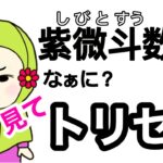 紫微斗数初めまして！紫微斗数トリセツ(取り扱い説明書)