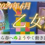 【乙女座♍️2024年6月】長い努力が報われる😭🙌乙女座さんらしい粘り強い努力が日の目にあたります🌅