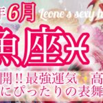 【魚座♓️2024年6月】神展開✨あなたにぴったりの輝く舞台が用意されている‼︎最強運気‼️