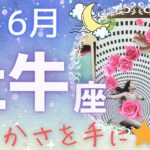 【牡牛座】♉️2024年6月運勢🌈豊かさを手にして大好きなものに囲まれて過ごす時💖新しいものを作り出す✨