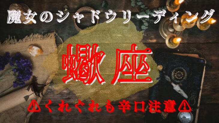 蠍座6月〜7月【シャドウ】⚠️辛口注意⚠️全てを受け入れる時📣魔女のシャドウリーディング🌗