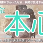 【お相手のあなたへのエネルギー強すぎ！】本心を語ってもらいました✨あなたへの混じりけない純粋な真の本心✨タロット　オラクルカードで深掘りリーディング　個人鑑定のお知らせも！