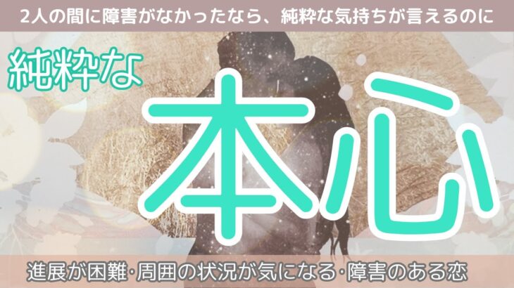 【お相手のあなたへのエネルギー強すぎ！】本心を語ってもらいました✨あなたへの混じりけない純粋な真の本心✨タロット　オラクルカードで深掘りリーディング　個人鑑定のお知らせも！