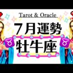 こんな最高なことってある？？どうせ全部順調なんだよね牡牛座の2024年7月全体運勢♉️仕事恋愛対人【個人鑑定級タロットヒーリング】