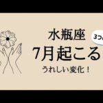 【水瓶座】7月運勢✨3つのうれしい変化✨トップレベルの回収劇