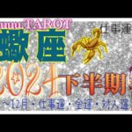 蠍座♏️さん【2024年下半期の運勢🌈7月〜12月・仕事運・金運・対人運】お金に関するブロックが外れる🔑#2024 #タロット占い #星座別