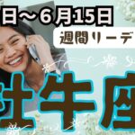 ❤️🕊️【おうし座♉さん】🌱《6月9日～6月15日》週間リーディング🌱2024年12星座別リーディング✨♠ルノルマンカードリーディング♠タロットカード・オラクルカードでもみていきましょう🔮✨