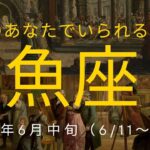 魚座さん　理想的な世界、あなたがあなたでいられる場所へ🌈 2024年6月中旬（6/11〜6/20）の運勢　カードリーディング　#魚座　#タロット　#2024年6月